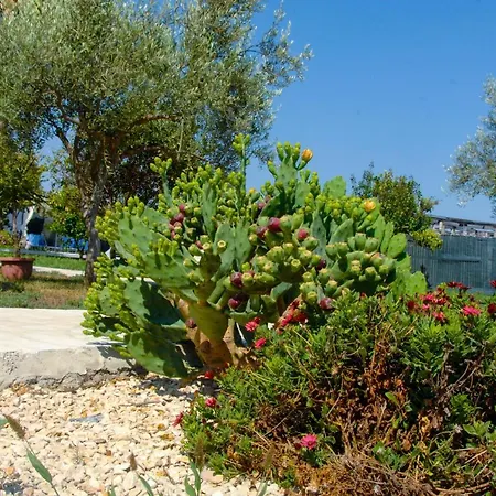 Giummarito Bed & Breakfast