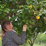 Giummarito לינה וארוחת בוקר שיקלי